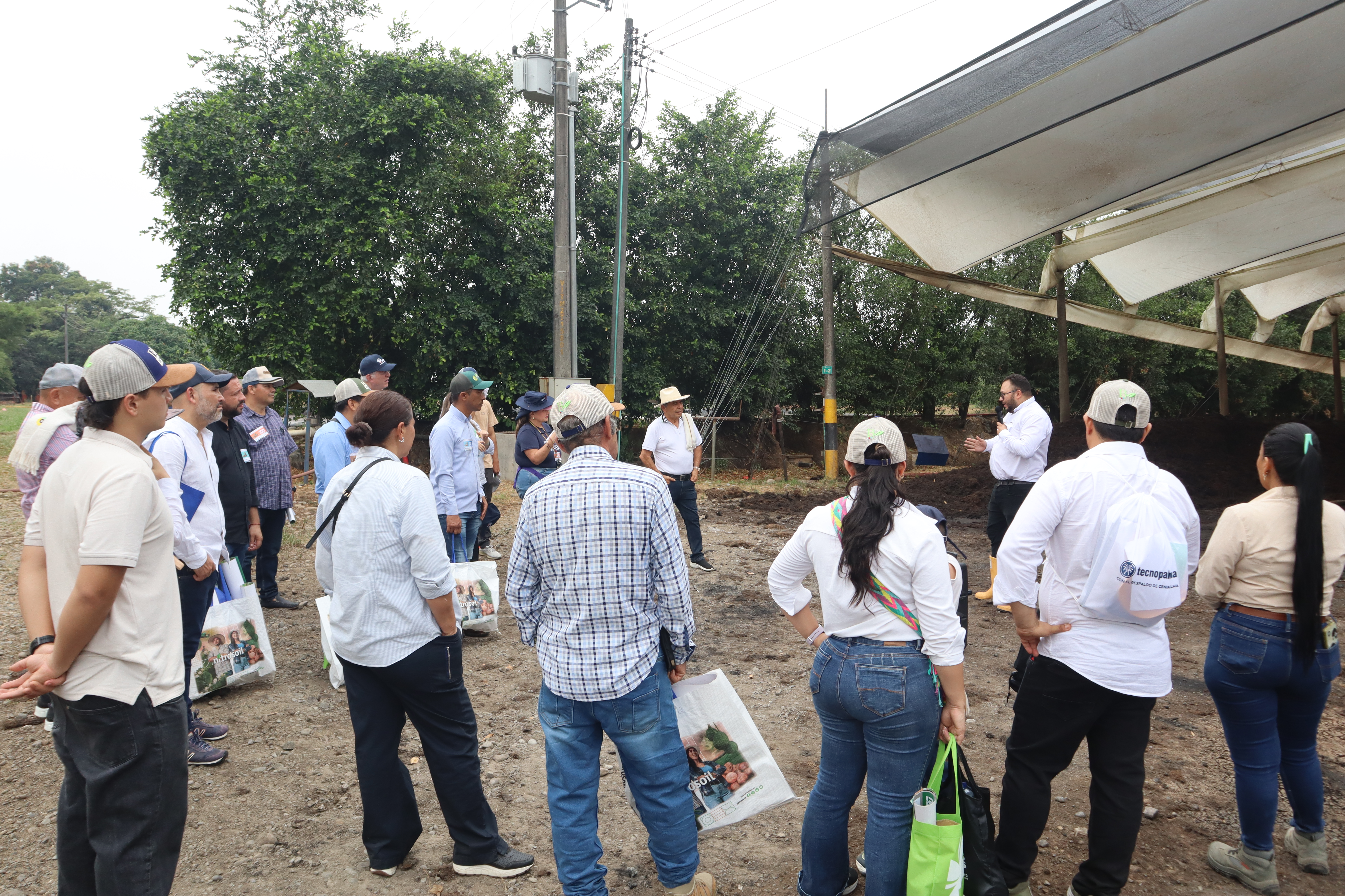 Feria empresarial
